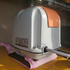 メダカの棚の画像
