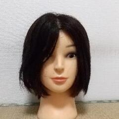 カットウィッグ