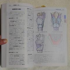 アトラス　解剖学の画像