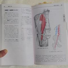 アトラス　解剖学の画像