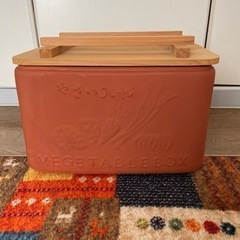 野菜保管箱　素焼き　2月2日に粗大ゴミ