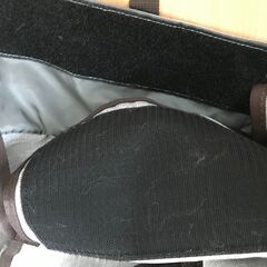 pet carry バッグの画像