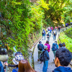 平日の高尾山登りしませんか？