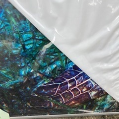 ウミガメ　パネルアートの画像
