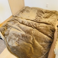 【大幅値下げ】羽毛布団&毛布にもなる布団カバー