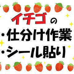 イチゴの仕分け・シール貼り★日払い・週払いOK！（求人No.G-...