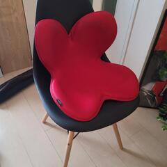 【引き渡し者確定】チェア 姿勢矯正マットの画像