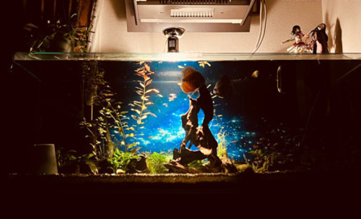 セット 1200水槽, 水槽台【神奈川県　引き取り限定】