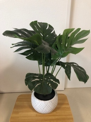 フェイク植物