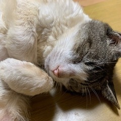 福祉施設に勤めてます*ˊᵕˋ*