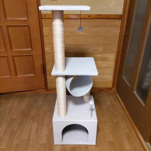 売ります。