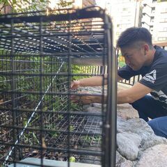 港区の皆様へ【😸期間限定😸逃げてしまったペットを捕まえるやりがいのあるお仕事‼️完全歩合でガッツリ稼げる✨】の画像