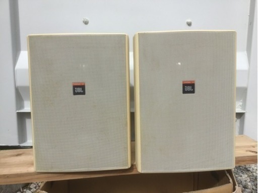 Yu-ma 本物 Kurosawa様専用出品 ブセファランドラ『7種7株セット