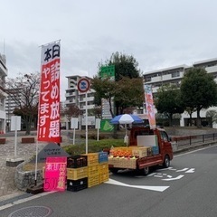 【有田みかん　詰め放題】 − 大阪府
