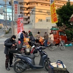 【有田みかん　詰め放題】 - 地域/お祭り