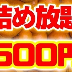 【有田みかん　詰め放題】 - イベント