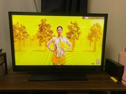 【決まりました】テレビ(32ｲﾝﾁ)+外付けHDD