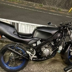 TZR50R 半不動者