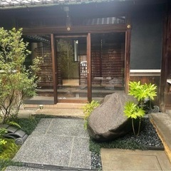 庭石　ピンコロ