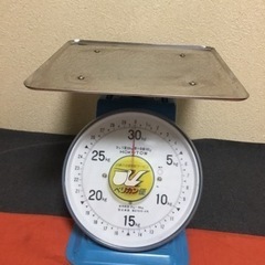 大型業務用ペリカン便上皿はかり30kg(最終値下げ)の画像
