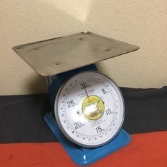 大型業務用ペリカン便上皿はかり30kg(最終値下げ)の画像