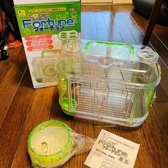 サンコー ルックルックフォーチュンミニ グリーン ドワーフハムス...