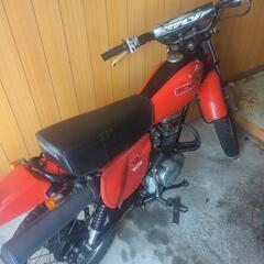 北海道発ホンダXL50s