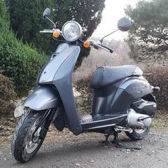 🛵原付🛵 大人気トゥディ❗️通勤通学配達‼️低燃費‼️の画像