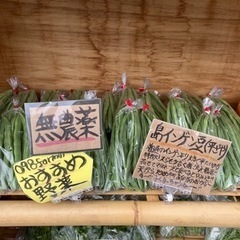 1/25 本日採れたてパクチーあります！の画像