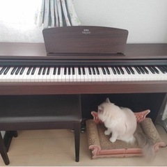 明後日土曜日処理。急ぎ。電子ピアノ。