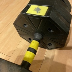 ダンベル　40kg (20kg×2)の画像