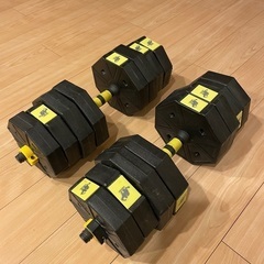 ダンベル　40kg (20kg×2)の画像