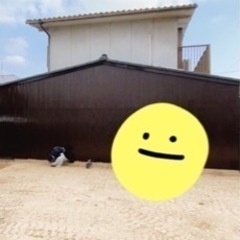外壁塗装、屋根塗装工事、漆喰工事、防水工事、足場1式工事