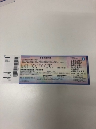 HY SKY Fes 2023 &前夜祭　キャンプサイトAエリア車横付け、3日間通しのチケット。