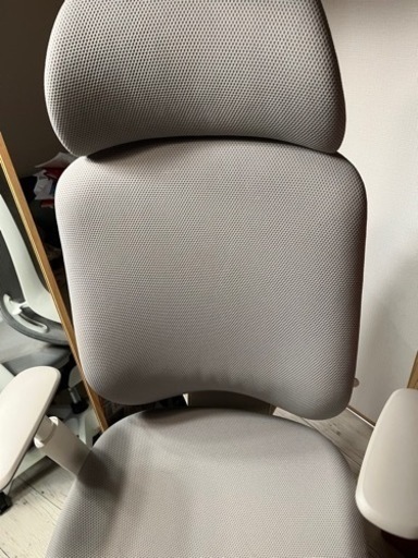 オカムラ シルフィー(Sylphy)