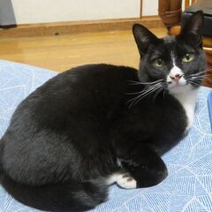 ウチの子になりました