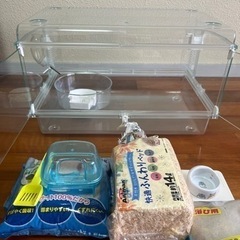 ハムスター飼育セット🐹