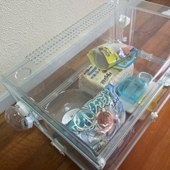 ハムスター飼育セット🐹の画像