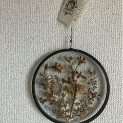 オーストラリア　ドライフラワー　吊り飾りの画像