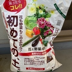 土　1月末に処分予定