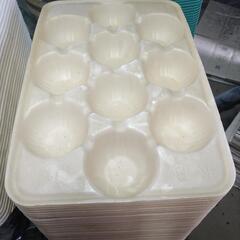 果物緩衝材　　フルーツトレーの画像