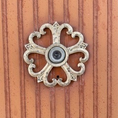 古い賃貸の玄関ドアをリメイクしてくれる方