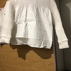 アーノルドパーマーキッズの画像