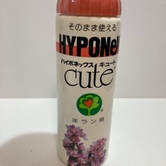 ハイポネックス　キュート　洋ラン用の画像