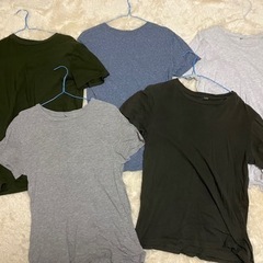 H&M GAP メンズTシャツ16枚セットの画像