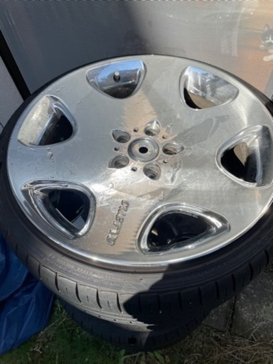 フレーダーマウス　クエルボ　19インチ