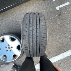 フレーダーマウス　クエルボ　19インチの画像