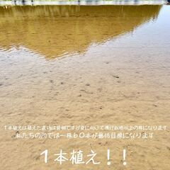 美味しいご飯を食べるまで！　田植え～稲刈り～脱穀