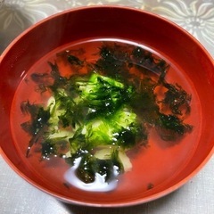 【期間限定】鹿児島県最北端の島、獅子島でのアオサ収穫体験の画像