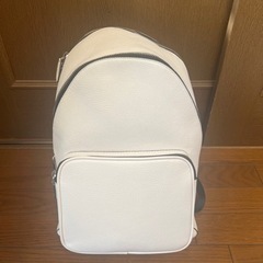 ZARA ザラ リュック①